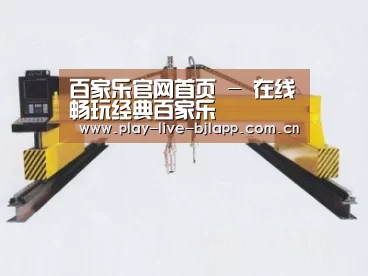 产品名称十九