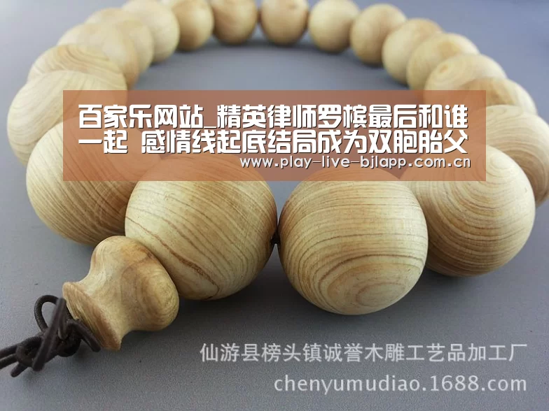百家乐网站_精英律师罗槟最后和谁一起 感情线起底结局成为双胞胎父亲(图2) 百家乐网站